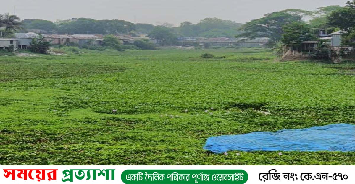 BD Clean News